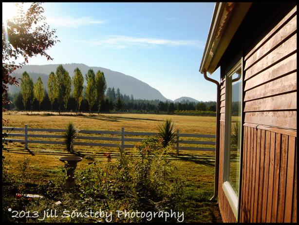 farm view in Arlington, WA