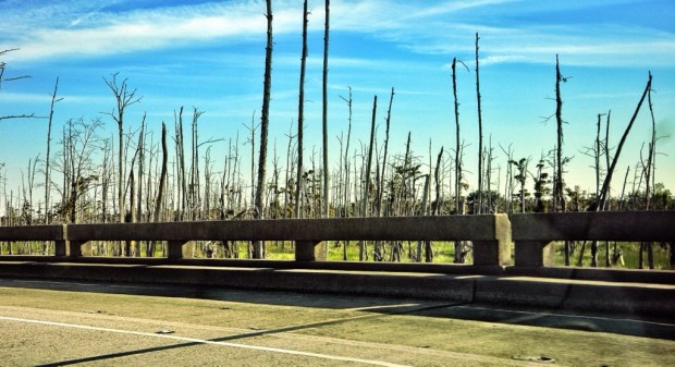 20131111-205428.jpg