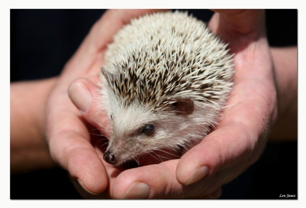 Photo Credit: Len Janes Photography via Compfight cc