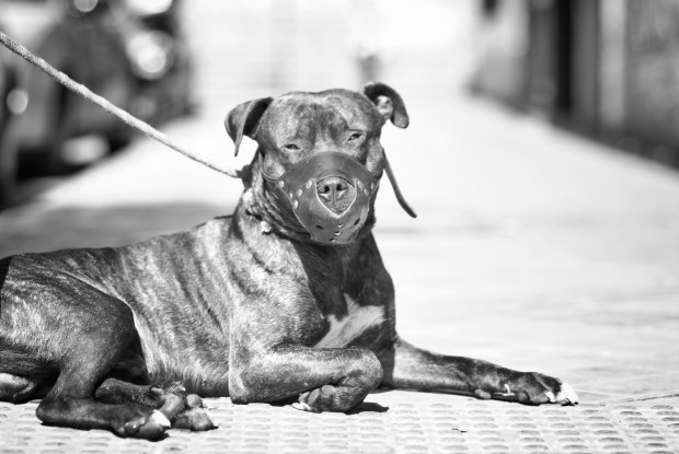 Photo Credit: Jon Díez Supat via Compfight cc